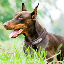 Charger l&#39;image dans la galerie, Collier de chien  en cuir
